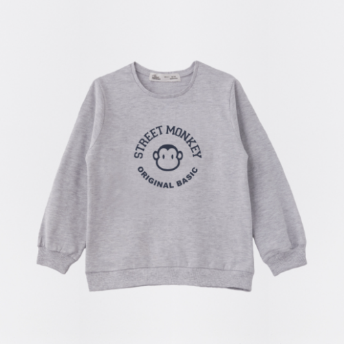 Imagen de Sudadera Street Monkey Original Basic
