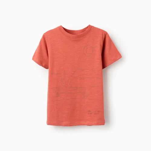Imagen de Camiseta desierto